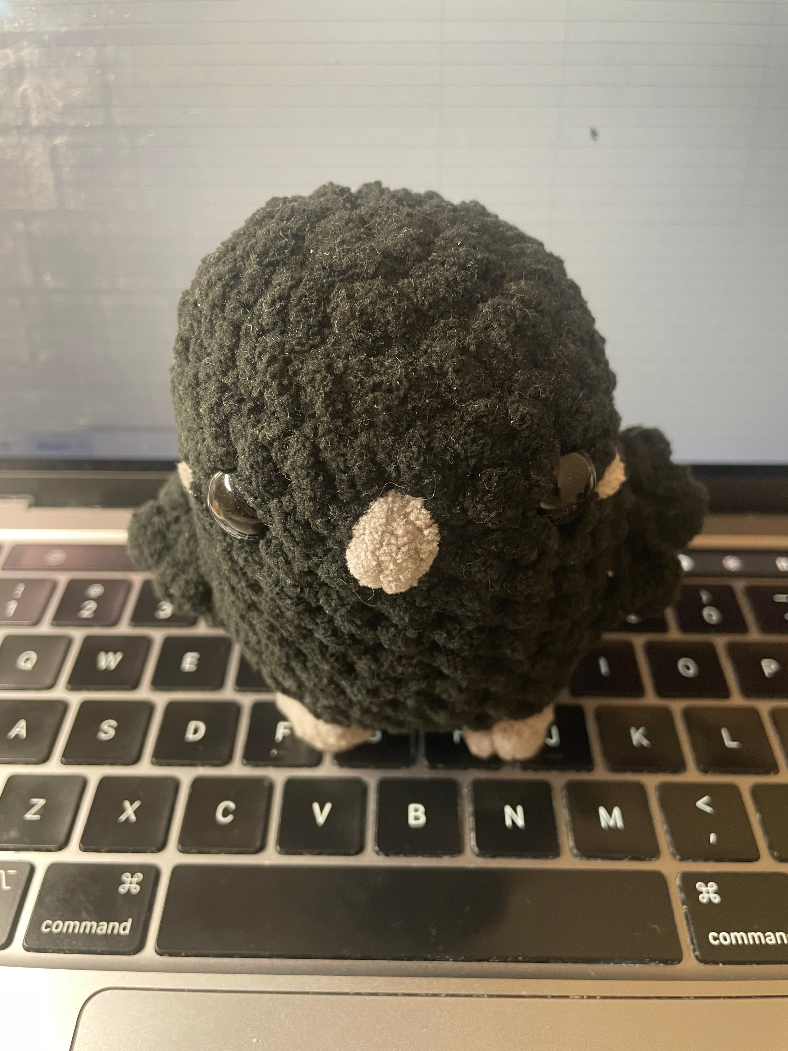 Cream soda crush, #1 love of my life