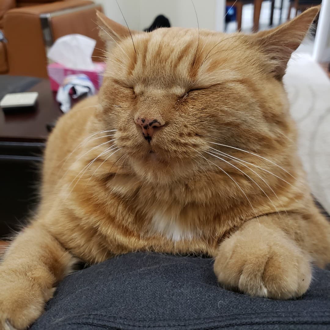 The dark side of AO3 is a pathway to many abilities some consider to be unnatural.