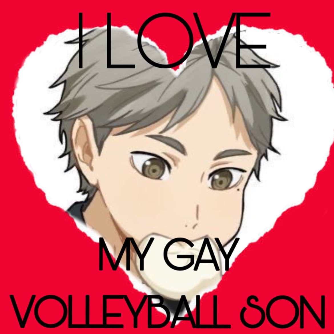 I'm here to help! (and promote my son's volleyball career)